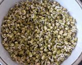 मूंग स्प्राउट सलाद Moong Sprouts Salad रेसिपी चरण 1 फोटो