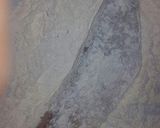 صورة لخطوة 2 من وصفة سمك محمر