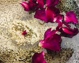 A picture of step 1 of Rose coconut surprise with creamy thandai.