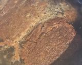A picture of step 4 of California Farm Spelt Flour MeatLoaf.