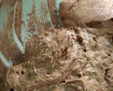 Foto del paso 9 de la receta: Pastel pulverizado de chocolate