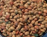 A picture of step 1 of Horsegram stir fry(in Malayalam- muthira mezhukkupuratty).