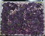 A picture of step 4 of My Genovese Focaccia with Purple Potatoes.