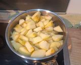 Une image de l'étape 1 de Compote pomme pêche.