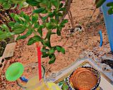 صورة لخطوة 2 من وصفة عصير ليمون 🍋