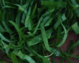 Foto langkah ke 1 dari resep Tumis Daun Kunyit Teri Asin.
