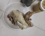 Hình bước làm 1 của món Gà tre làm gỏi