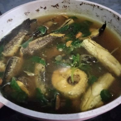 Langkah 5