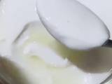 Homemade Yogurt Pakai Yogurt Starter (Bibit Yogurt)
