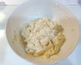 雞肉豆腐丸的食譜步驟1照片