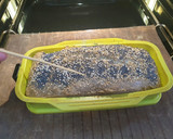 Foto del paso 5 de la receta: Pan de semillas (sin harinas)