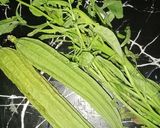 Foto langkah ke 1 dari resep Sayur Bening Oyong Daun Gingseng.