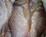 Foto langkah ke 1 dari resep Ikan bakar kecap(ikan kepiek+tabiang Alan).