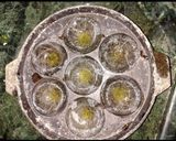 A picture of step 3 of Suji Maggi Kay Appe.