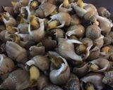 Foto del paso 1 de la receta: Marisquito