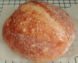 Foto langkah ke 24 dari resep Basic Sourdough Bread 72% (Open Bake Method - Oven Tangkring).