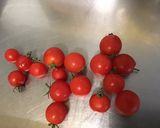 Une image de l'étape 2 de Champignons bruns farcis bœuf, légumes, emmental et tomates.