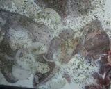 Foto del paso 3 de la receta: Tapa de asado tierna exquisita