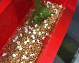 Foto del paso 5 de la receta Chocolate de té Matcha con Genmai