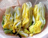 Foto langkah ke 4 dari resep KIMCHI (HomeMade).