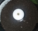 Foto langkah ke 1 dari resep Cheese cake lumer oreo mangga.