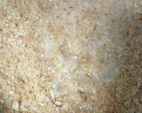 Foto del paso 4 de la receta: 🍰 Tarta de crema de cacahuete 🥜