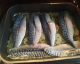 Foto del paso 6 de la receta: Filetes de Caballa al horno con patatas