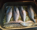 Foto del paso 6 de la receta: Filetes de Caballa al horno con patatas