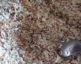 Foto del paso 2 de la receta: Arroz árabe