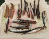 Foto del paso 2 de la receta: Sardinitas o Boquerones en Freidora de aire sin harina