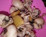 Foto langkah ke 2 dari resep Cumi sotong bumbu kuning +.