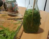 Foto del paso 3 de la receta: Porotitos verdes en conserva