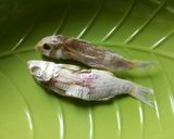 Foto langkah ke 2 dari resep Bobor wortel pucuk labu ikan asin.