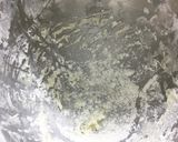 Foto del paso 3 de la receta: Pan libanés (oriental)