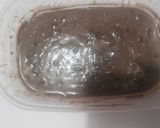 Foto del paso 5 de la receta: Helado de oreo