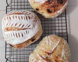 Foto langkah ke 11 dari resep Classic Sourdough Tanpa Stretch and Fold.