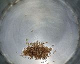 A picture of step 5 of Chickpea Chaat.