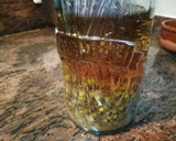 Foto del paso 4 de la receta: Licor de flores de manzanilla bio