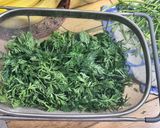 Foto del passaggio 1 della ricetta Pesto con il ciuffo di carote