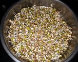 A picture of step 1 of Sprouts chilla.