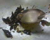 A picture of step 2 of Indori Poha.