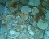A picture of step 7 of Irish Potato Stacks w/ gravy.