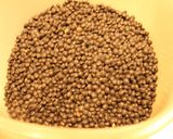 Foto del paso 1 de la receta: Revuelto lentejoso beluguense, salmoneado