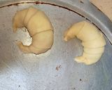 A picture of step 11 of Crossent Chicken Crabs 🥐🥐🥐🥐.