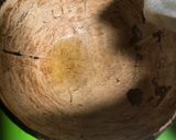 Foto langkah ke 5 dari resep Manfaat dari bathok kelapa.