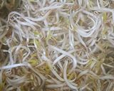 Foto langkah ke 2 dari resep Tumis Toge Tahu Putih Saus Tiram.