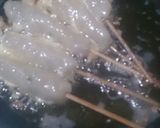 Foto langkah ke 7 dari resep Sempol ikan bandeng.