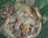 Foto langkah ke 2 dari resep Tumis kacang panjang dan udang.