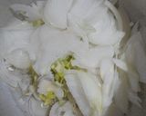 Foto del paso 1 de la receta: Salsa de puerro, vino, leche, ajo y cebolla (capeletinis)