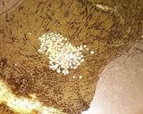 A picture of step 6 of #Carrot_Poriyal.